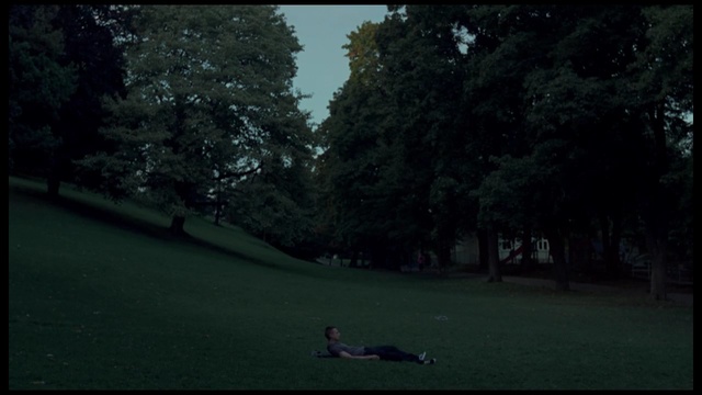 Video Reference: nature, green, tree, woody plant, sky, darkness, atmosphere, leaf, plant, photography, Person