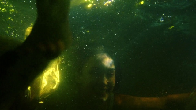 Video Reference: Green, Nature, Light, Water, Underwater, Organism, Sunlight, Tree, Marine biology, Photography