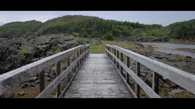 Video Reference: sky, boardwalk, walkway, road, bridge, coast, fixed link, tree, reservoir, guard rail