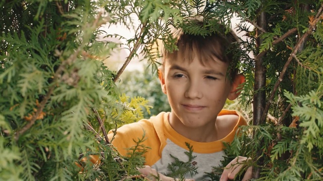 Video Reference: People in nature, Face, Child, Male, Botany, Plant, Smile, Grass, Adaptation, Happy, Person
