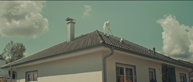 Video Reference: Roof, Chimney, Sky, House, Home, Technology, Real estate, Architecture, Wind, Cloud