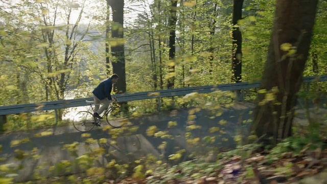 Video Reference: Nature, Forest, Woodland, Tree, Bicycle, Natural environment, Mountain bike, Vehicle, Old-growth forest, Freeride