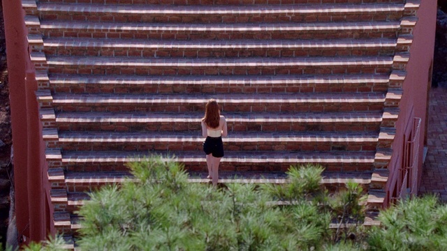 Video Reference: Wood, Window, Window covering, Window blind, Tree, Architecture, Hardwood, Window treatment, Plant, Landscape