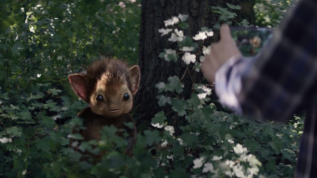 Video Reference: Cat, Felidae, Small to medium-sized cats, Wildlife, Whiskers, Organism, Fawn, Grass, Tree, Carnivore