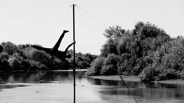 Video Reference: water, black, black and white, reflection, tree, monochrome photography, plant, photography, bridge, monochrome