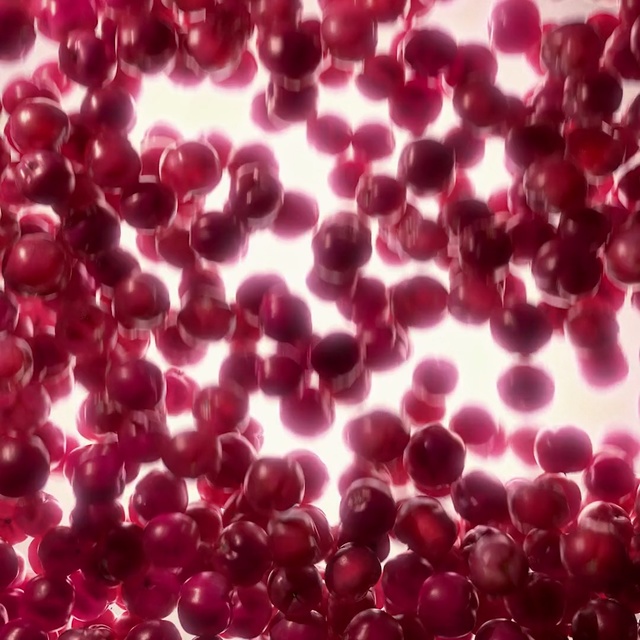 Video Reference: Red, Pink, Purple, Violet, Magenta, Lilac, Organism, Petal, Plant, Pattern, Person