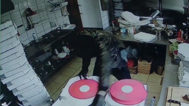 Video Reference: Pink, Snapshot, Fun, Cool, Black hair, Photography, Art, Fictional character, Metal