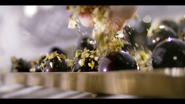 Video Reference: Photography, Still life, Still life photography, Plant, Flower