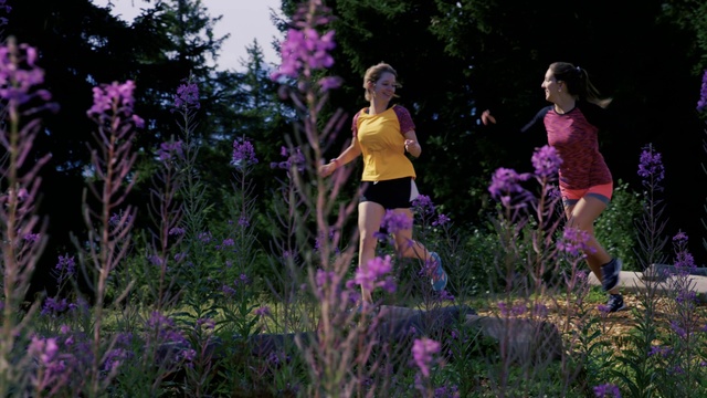 Video Reference: People in nature, Lavender, Purple, Flower, Pink, Violet, Plant, Grass, Spring, Outdoor, Girl, Child, Playing, Young, Little, Field, Group, Small, Green, Standing, Woman, Game, Garden, People, Man, Forest, Walking, Hill, Holding, Riding, Frisbee, Ball, Tree