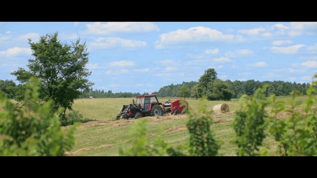Video Reference: Field, Grassland, Tractor, Farm, Agricultural machinery, Rural area, Vehicle, Pasture, Grass, Agriculture