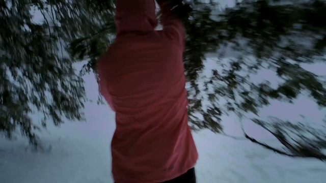 Video Reference: tree, woody plant, winter, snow, freezing, geological phenomenon, sky, girl, fun, sunlight