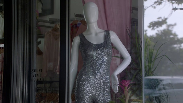 Video Reference: Mannequin, Dress, Clothing, Doll, Fashion, Toy, Window, Pattern, Cocktail dress, Display window, Person