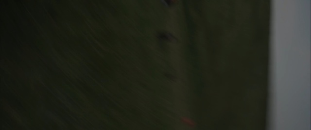 Video Reference: green, black, photograph, wood, atmosphere, darkness, light, sky, close up, lighting