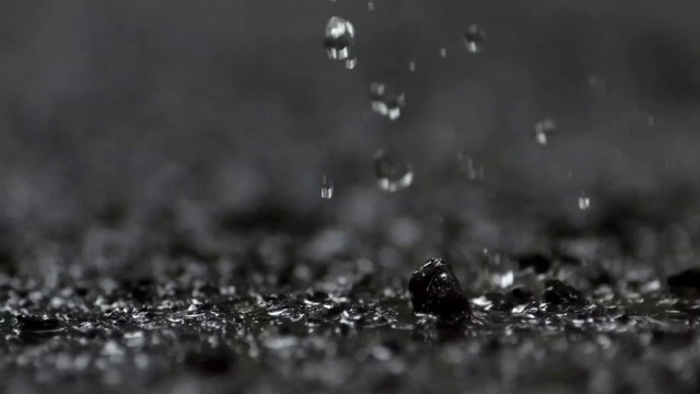 Video Reference: Moisture, Drop, Water, Black, Dew, Nature, Monochrome photography, Macro photography, Black-and-white, Close-up