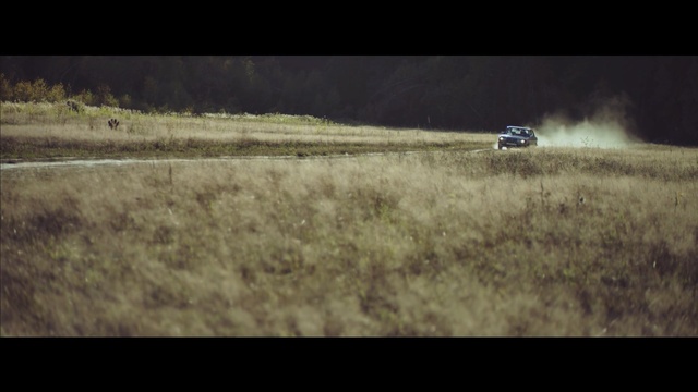 Video Reference: sky, grass, screenshot, atmosphere, tree, landscape, ecoregion, field, road, grass family