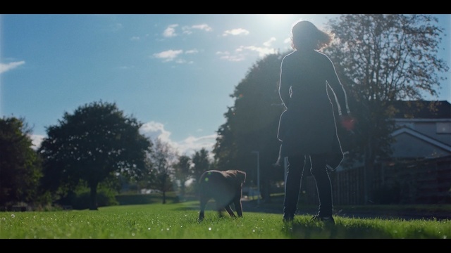 Video Reference: Nature, Photograph, Pasture, Sky, Atmospheric phenomenon, Morning, Tree, Grassland, Meadow, Grass