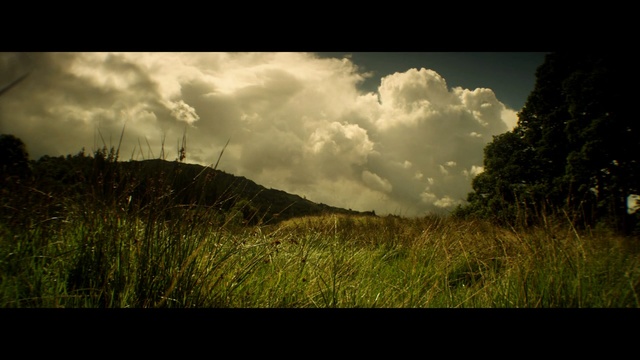 Video Reference: sky, nature, cloud, vegetation, grass, atmosphere, tree, landscape, sunlight, grassland