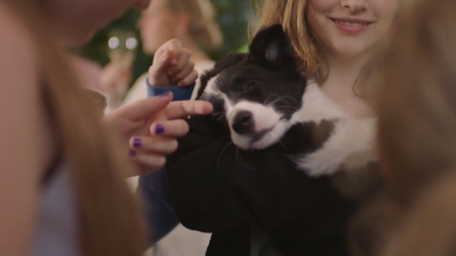 Video Reference: Canidae, Dog, Dog breed, Puppy, Carnivore, Smile, Companion dog, Puppy love, Child, Fur