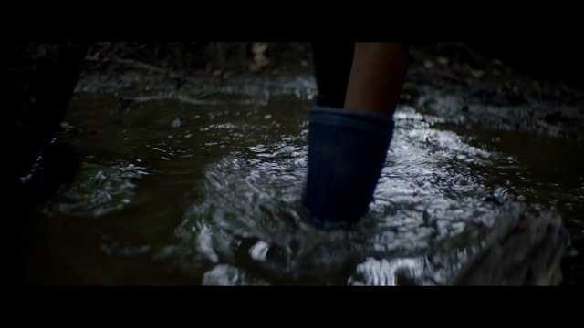 Video Reference: Water, Nature, Footwear, Darkness, Leg, Reflection, Shoe, Boot, Photography, Tree