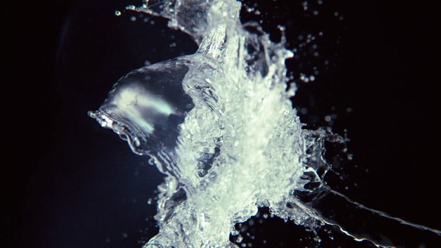 Video Reference: water, macro photography, organism, ice, freezing, darkness, computer wallpaper, stock photography