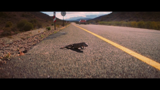 Video Reference: Asphalt, Road, Longboard, Skateboard, Longboarding, Road surface, Morning, Skateboarding Equipment, Infrastructure, Freeride