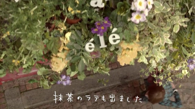 Video Reference: Flower, Plant, Lavender, Organism, Spring, Herb, Flowering plant, Garden, Annual plant, Floristry