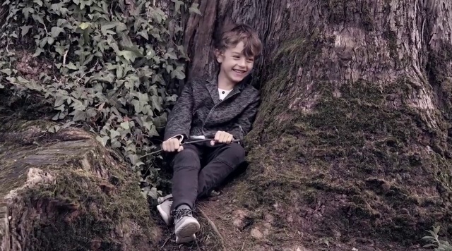 Video Reference: Photograph, Nature, Tree, Soil, Sitting, Trunk, Woody plant, Branch, Adaptation, Photography