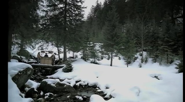 Video Reference: snow, winter, tree, freezing, geological phenomenon, ice, forest, winter storm, landscape, sky