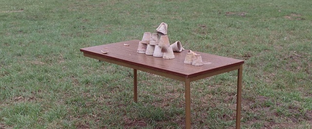 Video Reference: Furniture, Table, Coffee table, Outdoor table, Wood, Outdoor furniture, Plywood, Picnic table, End table, Desk, Grass, Outdoor, Field, Wooden, Sitting, Small, Grassy, Standing, Green, Brown, Bench, Park, Large, Laying, Fire, Cat, Chair, Dining table