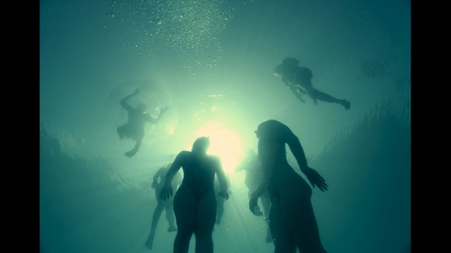 Video Reference: underwater diving, underwater, water, freediving, scuba diving, diving, sea, divemaster, organism, marine biology