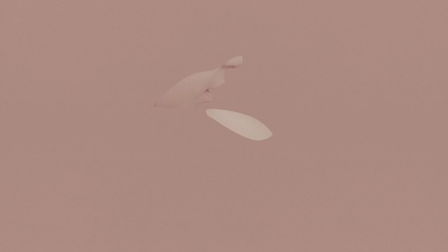 Video Reference: sky, daytime, computer wallpaper