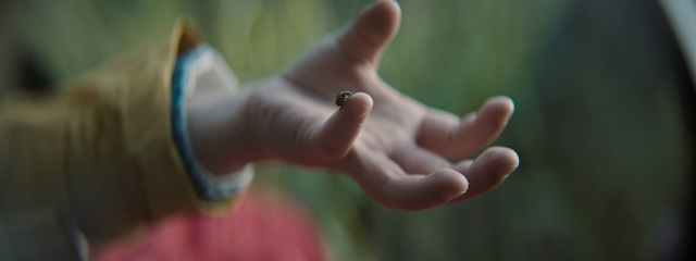 Video Reference: hand, finger, thumb, arm, mouth, human