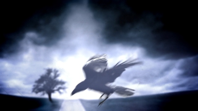 Video Reference: Sky, Wing, Atmosphere, Darkness, Bird, Black-and-white, Cloud, Photography, Monochrome, Space