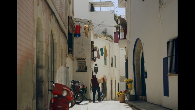 Video Reference: town, alley, street, road, infrastructure, urban area, neighbourhood, wall, window, house, Person