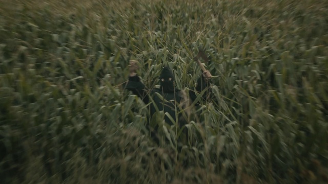 Video Reference: Grass, Field, Crop, Plant, Grassland, Prairie, Agriculture, Grass family, Wildlife, Ecoregion