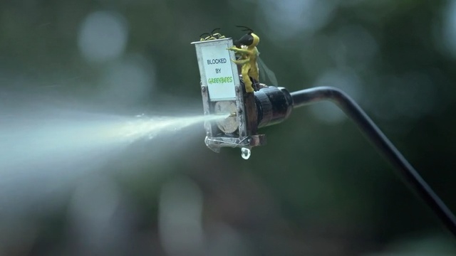 Video Reference: water, macro photography, Person