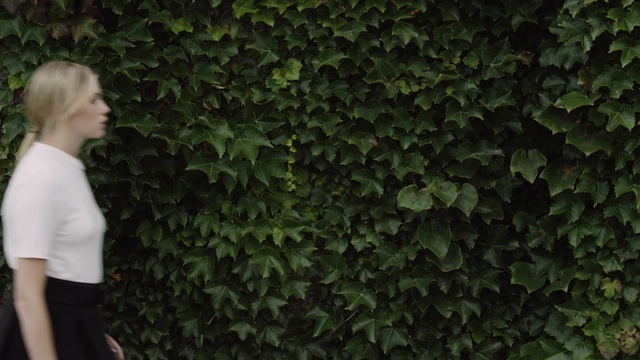 Video Reference: green, plant, leaf, grass, tree, ivy, shrub, ivy family, vine