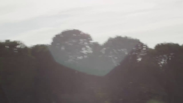 Video Reference: Sky, Atmospheric phenomenon, Cloud, Morning, Atmosphere, Tree, Haze, Mist, Fog, Mountain