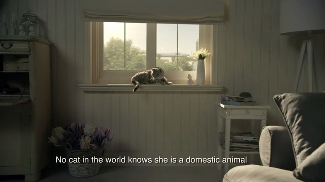 Video Reference: room, property, home, interior design, window, furniture, wall, floor, living room, window covering