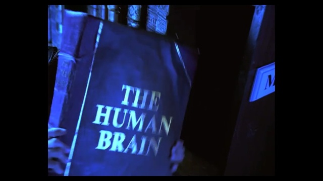Video Reference: Blue, Light, Cobalt blue, Electric blue, Text, Display device, Font, Darkness, Signage, Person