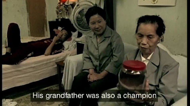 Video Reference: People, Photograph, Facial expression, Social group, Snapshot, Fun, Human, Sitting, Conversation, Photo caption