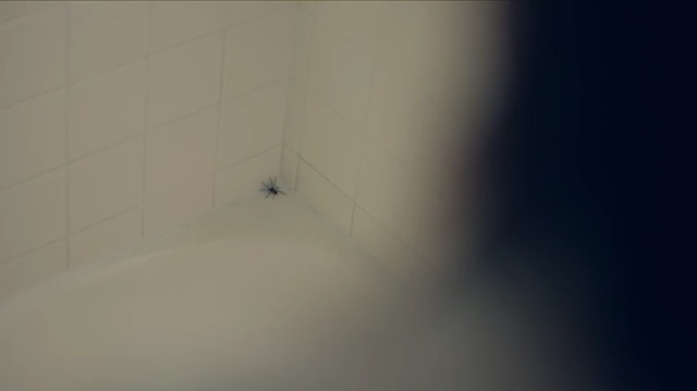 Video Reference: Wall, Room, Line, Bathtub, Tile, Plumbing fixture, Floor, Architecture, Flooring, Bathroom