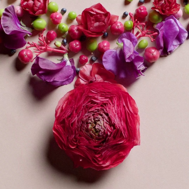 Video Reference: Flower, Red, Pink, Garden roses, Cut flowers, Bouquet, Rose, Plant, Petal, Artificial flower, Indoor, Vase, Table, Sitting, White, Food, Small, Plate, Purple, Large, Colorful, Different, Fruit, Group, Lilac, Colored