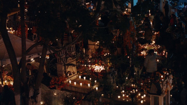 Video Reference: Night, Lighting, Darkness, Urban area, Tree, Sky, City, Midnight, Space, Metropolis