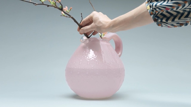 Video Reference: Pink, Vase, Hand, Plant, Ceramic, Glass, Flower, Artifact, Person