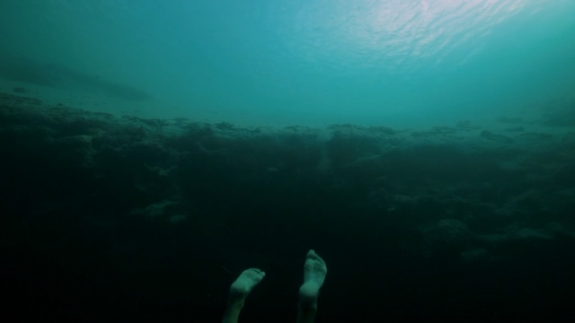 Video Reference: underwater, underwater diving, sea, freediving, scuba diving, water, marine biology, ocean, diving, aquanaut