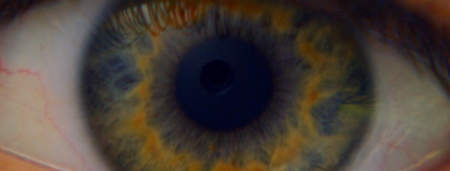 Video Reference: eye, iris, eyebrow, close up, macro photography, eyelash, organ, forehead, human body, eyelash extensions