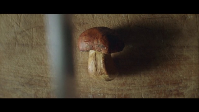Video Reference: Wood, Close-up, Still life photography, Organism, Photography, Art, Portrait, Darkness, Person