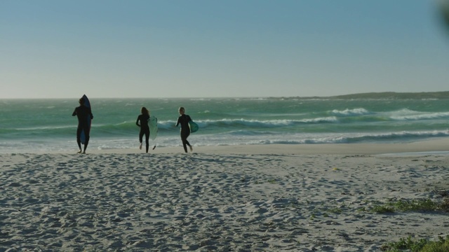 Video Reference: Beach, Ocean, Sea, Shore, Coast, Sand, Horizon, Wave, Fun, Vacation