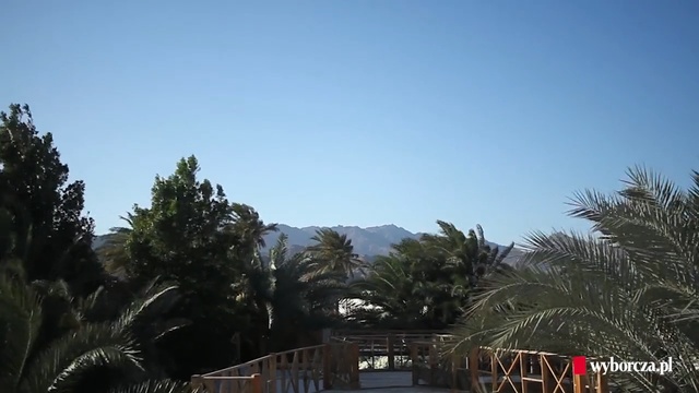 Video Reference: Sky, Tree, Palm tree, Arecales, Cloud, Plant, Hill station, Mountain, Tourism, Landscape
